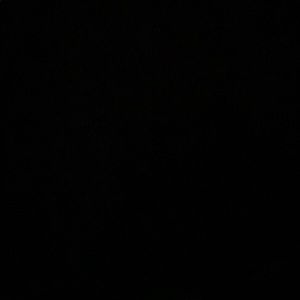 Meet your Posher, Jody